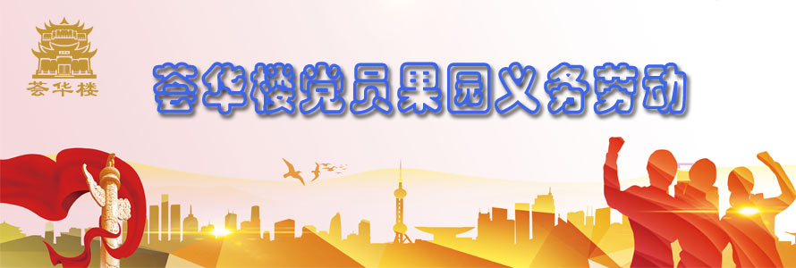 党员干部果园义务劳动，共建荟华楼“员工之家”